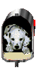 firemans Picture frame email
